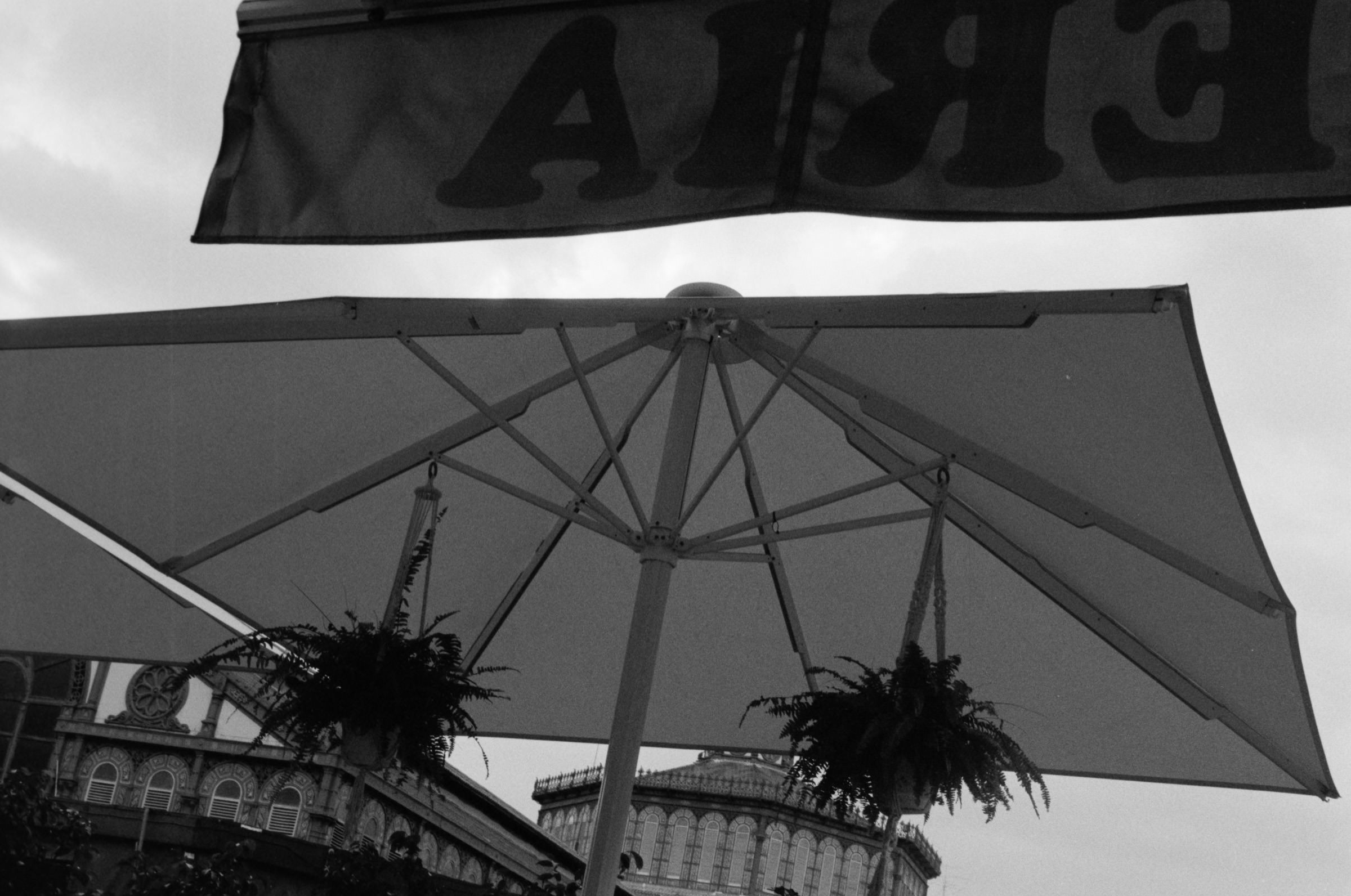 AHP F1995 10 001 sc240815 img38 NLP